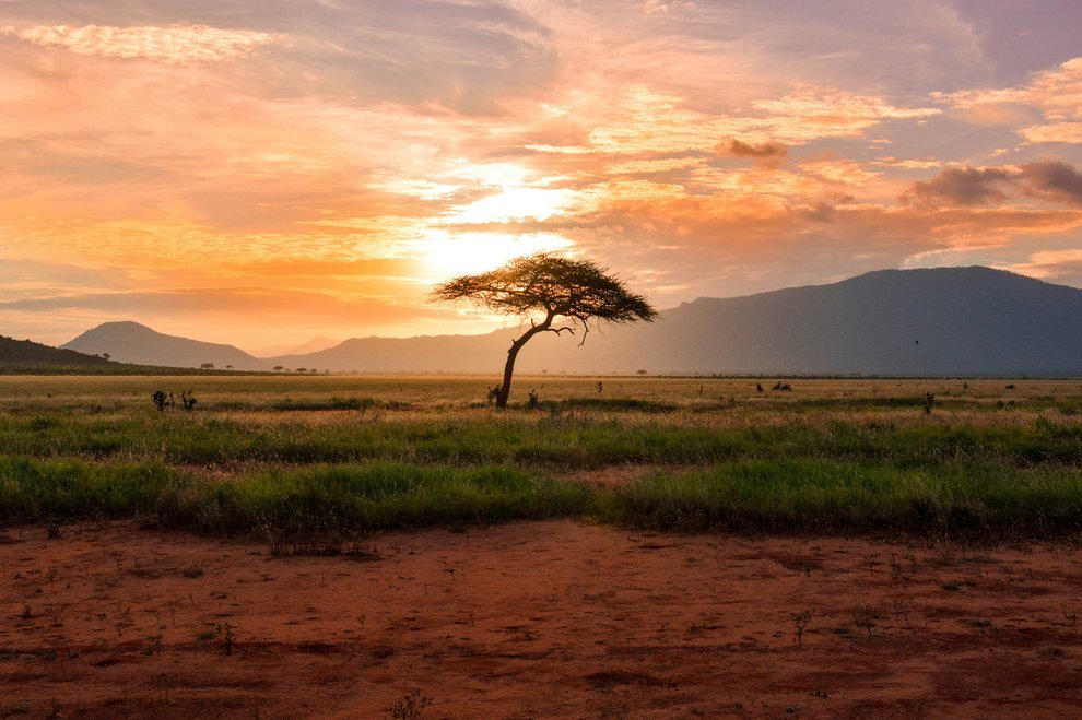 Pays Africains